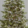 Nova Garden TWW 2000 Cool White LED Compact Cluster Christmas Tree Lights