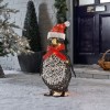 Rattan 60cm Battery Operated Christmas Penguin Figure