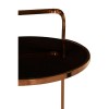 Ackley 2 Tier Gold Finish Metal and Black Glass Drinks Trolley