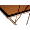 Allure Champagne Metal Legs and Red Tint Glass Coffee Table