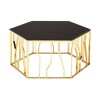 Alvaro Gold Finish Metal and Black Glass Hexagonal Coffee Table