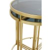 Axis Metal and Mirrored Glass Furniture Round Nesting Tables
