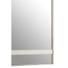 Demas Metal and Glass Furniture Rectangular Wall Mirror