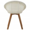 Lovina Plastic Rattan and Teak Wood Chair