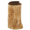 Nandri Acacia Wood and Metal Furniture Acacia Wood Stool
