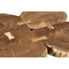 Nandri Acacia Wood and Metal Furniture Cross Sections Coffee Table