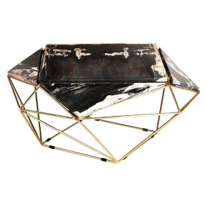 Relic Dark Petrified Wood and Brass Iron Coffee Table