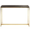 Relic Dark Petrified Wood and Brass Iron Console Table