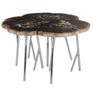 Relic Light Petrified Wood and Silver Stainless Steel Coffee Table