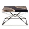 Relic Petrified Wood and Stainless Steel Geometric Coffee Table