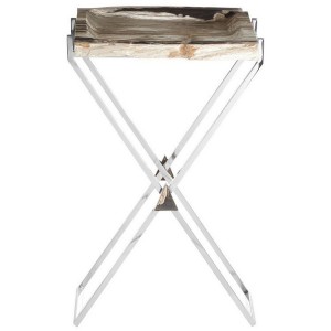 Relic Rectangular Petrified Wood and Stainless Steel Side Table