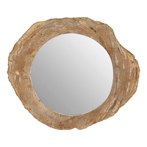 Relic Round Mirrored Glass and Petrified Wood Wall Mirror